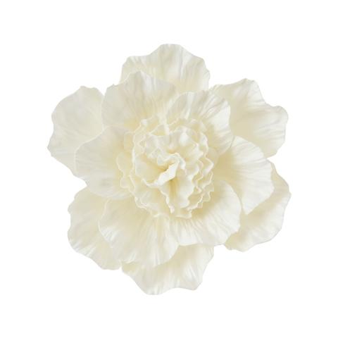 Wall Flower Peony Small White