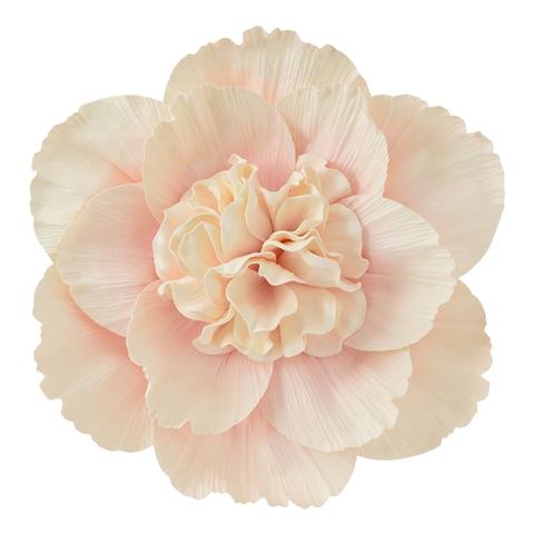 Wall Flower Peony Large Pink